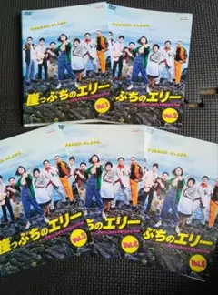 DVD 崖っぷちのエリー全5巻完結セット 山田優 塚地武雄