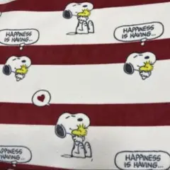 Item thumbnail for item 56c1e171-901b-4cc4-b8da-032945cb4e70