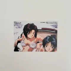 逮捕しちゃうぞ　下着　トレカ　カード　辻本夏実　小早川美幸　水着
