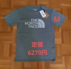 《メッシュ生地》THE NORTH FACE ベントロゴクルー サイズM