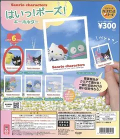サンリオキャラクター はいっ！ポーズ！キーホルダー