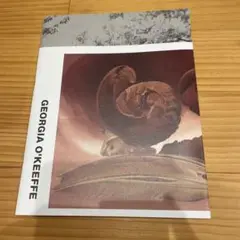 GEORGIA O'KEEFFE & COMME des GARÇONS 冊子