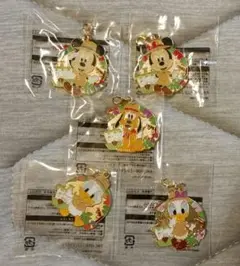 東京ディズニーランド ミニゲーム チャーム 5種セット