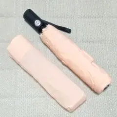 Item thumbnail for item 4a40a8ee-a6f7-4424-b69f-10d9e96fdfbf