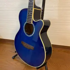 ARIA FET-STDBLS エレアコ
