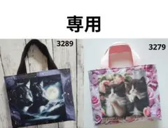 3279　3289 こちらは専用です