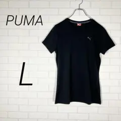 Item thumbnail for item 67208837-3e82-4f2c-8edc-31cd4d069662