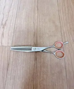 Item thumbnail for item 7c477688-fbe4-4b3c-88d8-aba46d449ac9