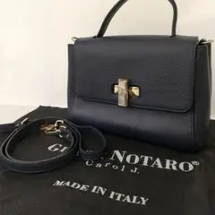 GIANNI NOTARO Carol J. 2way バッグ