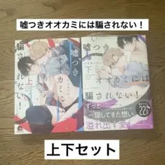 【BL漫画】嘘つきオオカミには騙されない! 上下セット