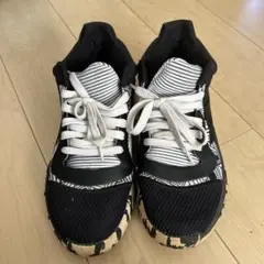 Item thumbnail for item 6c97c89a-2a0c-4709-a69a-45c32643dda9