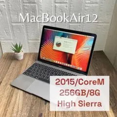 最終値下❗️MacBookAir 2015 CoreM 8G 256GB グレイ