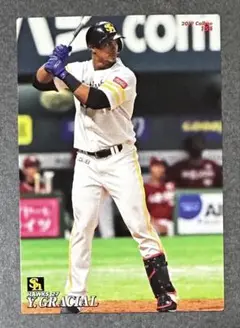 プロ野球チップス2019付属カード「Y.グラシアル（ソフトバンクホークス）」