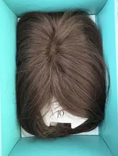 Item thumbnail for item 093978db-36ca-42d5-a97b-3048fce3fdca