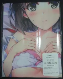 【抱き枕カバー】冴えない彼女の育てかた 冴えカノ 加藤恵 ⑩-7