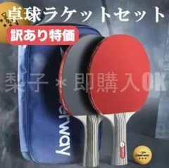 【訳あり特価】卓球ラケット　セット　ピンポン玉付　収納ケース付　持ち運び便利