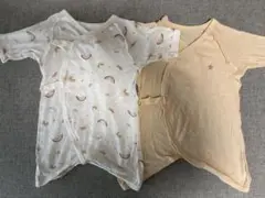 Item thumbnail for item 02a8d646-0cdf-451a-a702-e47cdab467d5