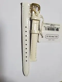 Item thumbnail for item 3346b4c3-d879-4db7-b547-19e1f157ea44
