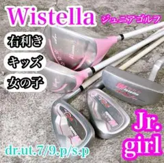 2025年最新】Wistellaの人気アイテム - メルカリ