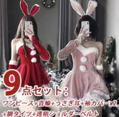 サンタコス うさぎ