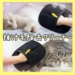 Item thumbnail for item dcaa768f-ba59-4222-aba8-76f54e5aa5e9