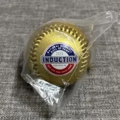 アメリカ野球殿堂博物館 イチロー 殿堂入り記念ボール