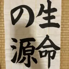 2025JA書道コンクール小6年半紙手本『生命の源』