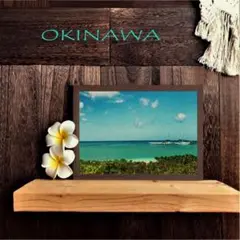 【送料無料】南国の風景☆OKINAWA No.914 フレーム付 A4サイズ