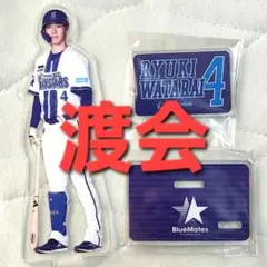 【未使用品】横浜DeNAベイスターズ　アクリルスタンド（渡会選手）