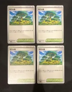 活力の森　4枚セット