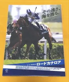ロードカナロア　ヒーロー列伝　クリアファイル　JRA　競走馬