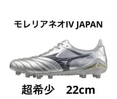 モレリアネオIV JAPAN 22cm