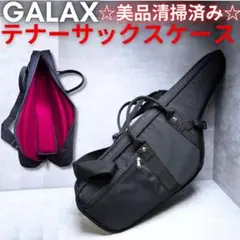 限定セール【FJ】テナーサックス用ソフトケース