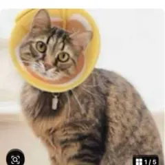 Item thumbnail for item 4f7f1444-b228-44ce-8d0f-5845df327f7d