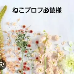 激レアねこパネル生地　ハンドメイド