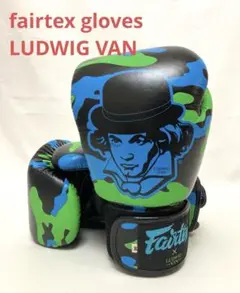 【美品・送料無料】fairtex gloves LUDWIG VAN