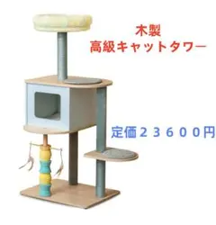Item thumbnail for item d1d6c11a-37ff-4af6-a559-9f96d86ec22a