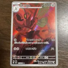 ハッサム　 AR