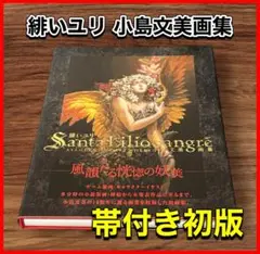 小島文美 画集 緋いユリ 帯付き 色彩王国 コナミ 悪魔城ドラキュラ 小島文美 画集 緋いユリ 帯付き 色彩王国 コナミ 悪魔城