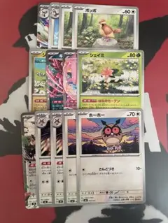 トレーナーズボックス ポケモンのみ