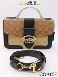 未使用 *COACH コーチ* 2Wayバック パイソン型押し 6192