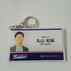 ヤクルトスワローズ　スワポン　名刺風アクリルキーホルダー　4丸山