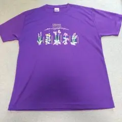 超美品★八ヶ岳Tシャツ オーレン小屋