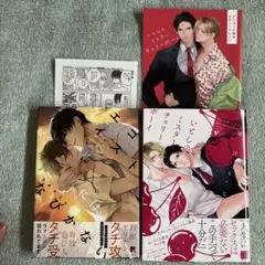 いとしのミスターチェリーボーイ　エゴイストにはなびかない　　入れ替え可能