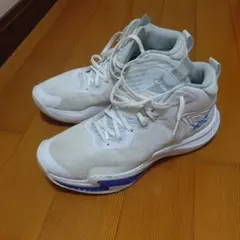 NOVA SURGE 3　US11.5