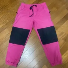 NIKE acg パンツ　Lサイズ