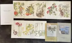2025年最新】小磯良平 植物画の人気アイテム - メルカリ