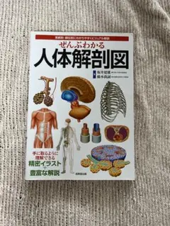 ぜんぶわかる人体解剖図 系統別・部位別にわかりやすくビジュアル解説
