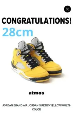 28cm Air Jordan 5 Retro "Tokyo 23"