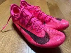 Item thumbnail for item c9163917-b1c7-41be-a524-5e1bfa0318a0